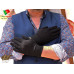 Black Cotton Gloves, Reusable, Washable (SALGBL2020)